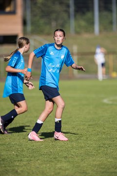 Bild 386 - wBJ TuS Rotenhof - Holstein Kiel : Ergebnis: 1:4